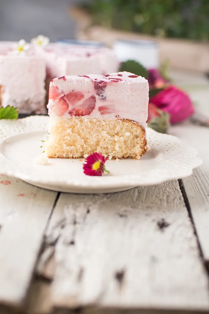 Die fertige, ungekühlte Erdbeer Joghurt Sahne Torte in der Springform, mit vorbereiteten Erdbeerscheiben und der Crememasse