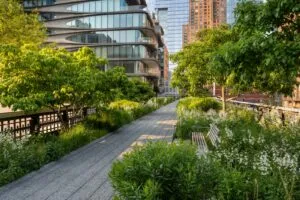 Die High Line in New York City, ein urbaner Park auf einer ehemaligen Bahntrasse, bietet einzigartige Ausblicke und ist Teil der New York City Reisetipps.