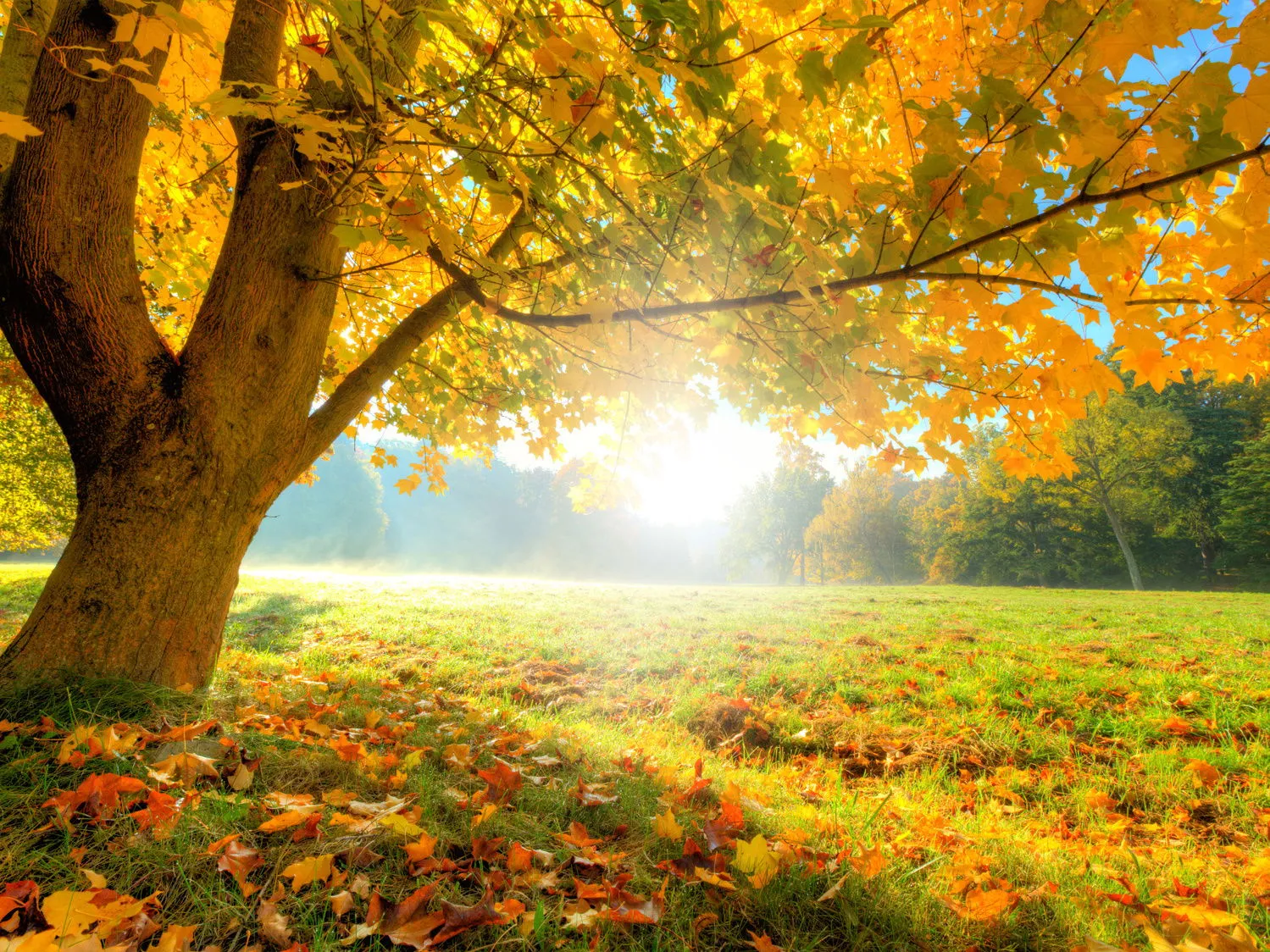 Die idyllische Hafeneinfahrt von Neuharlingersiel mit traditionellen Fischerbooten, die auf die nächste Fahrt in die Nordsee warten