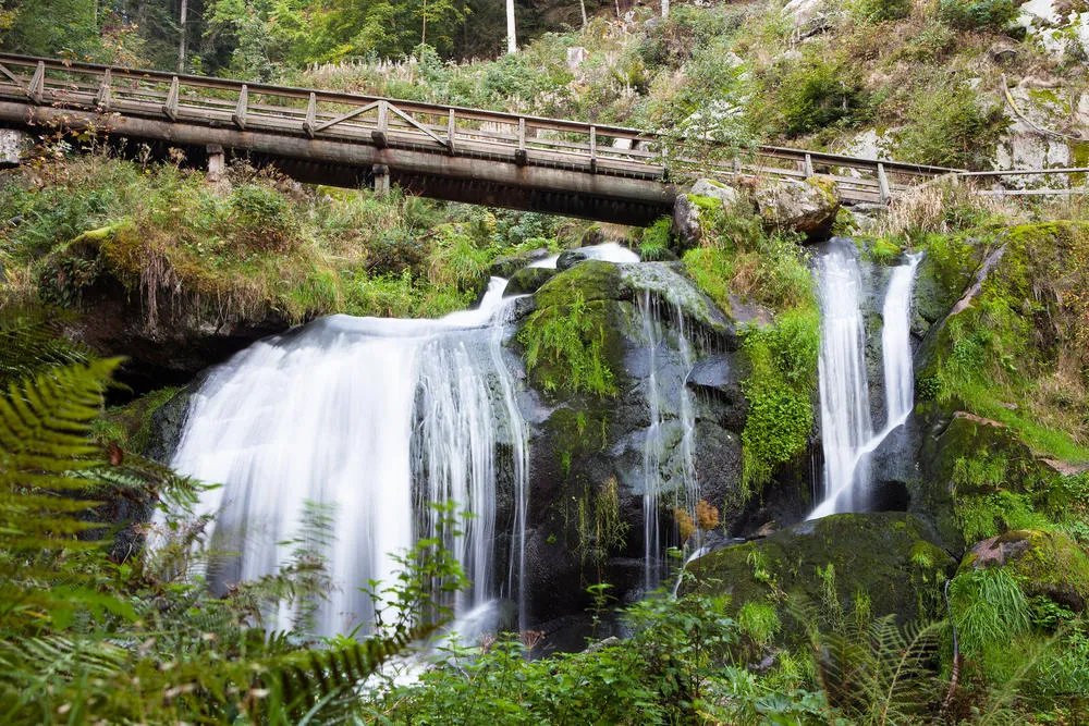 Die imposanten Triberger Wasserfälle, die höchsten Deutschlands, inmitten grüner Natur