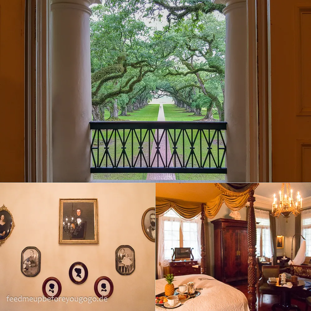 Die majestätische Eichenallee der Oak Alley Plantation, ein ikonisches Wahrzeichen, das sich bis zum Plantagenhaus erstreckt.