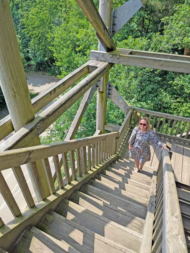 Die Schwedenschanze in der Göhrde bietet einen Panoramablick