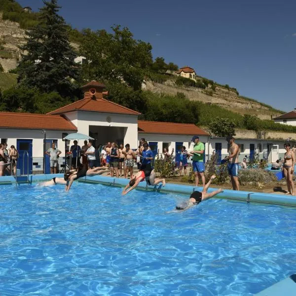 Die Schwimmer geben ihr Bestes im Freyburger Schwimmbad