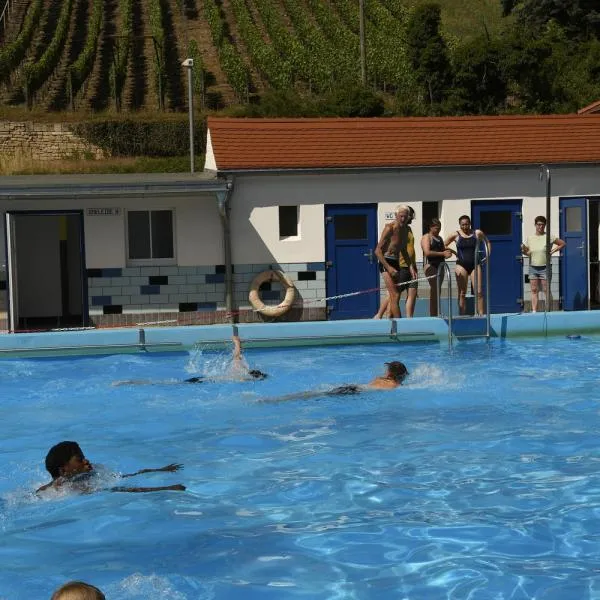 Die Schwimmer haben die Herausforderung angenommen und gemeistert