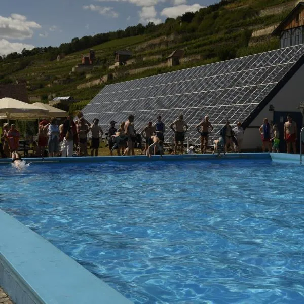 Die Schwimmer haben sich eine Erfrischung verdient nach dem Wettkampf
