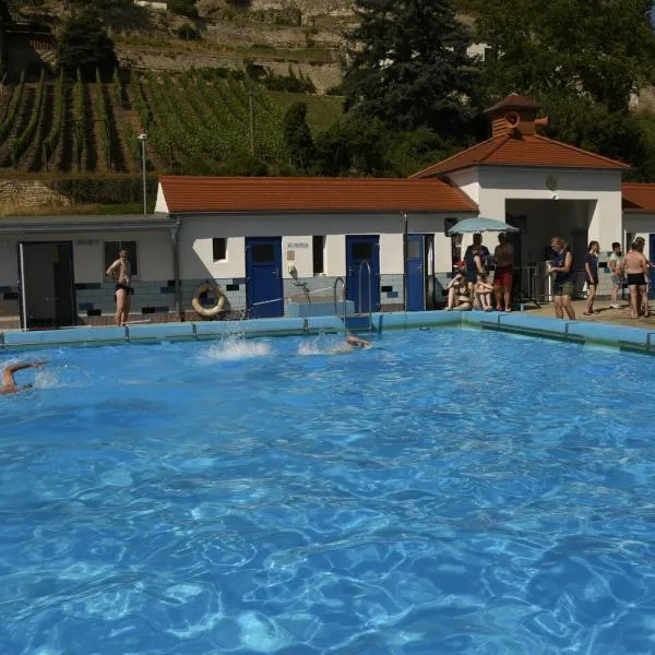 Die Schwimmer haben sich neue Ziele für das nächste Jahr gesetzt