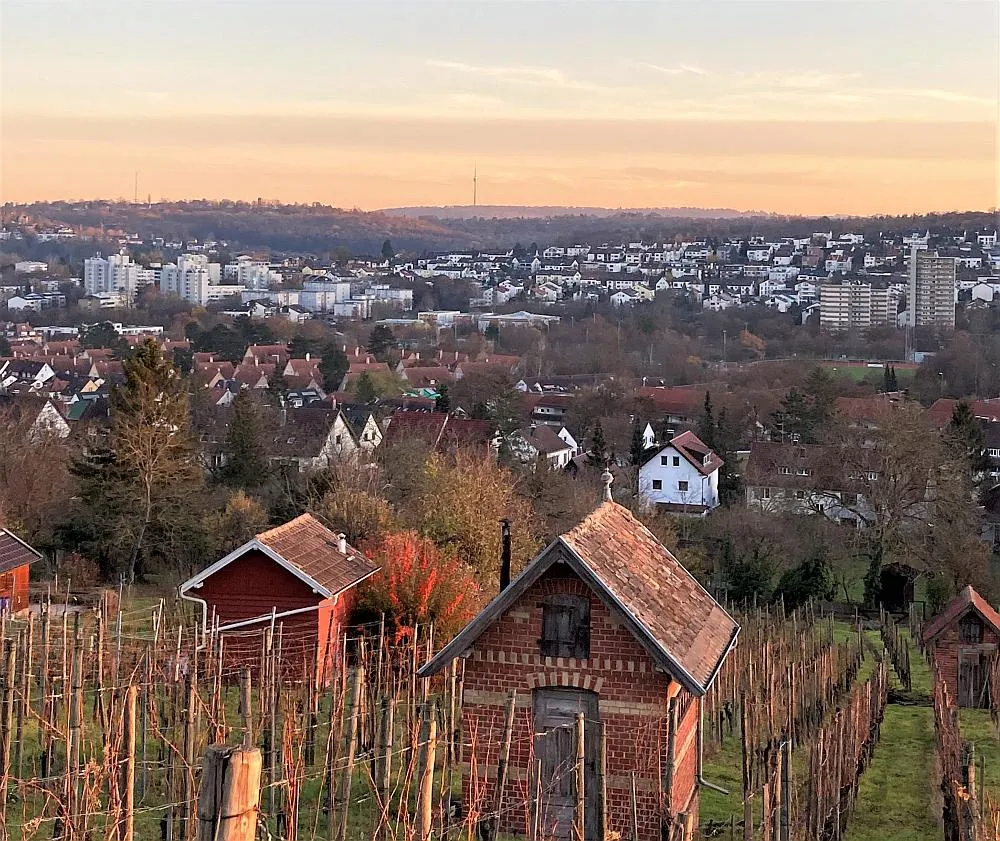 Die Stuttgarter Weinberge: Ein idyllischer Ort für Familienausflüge