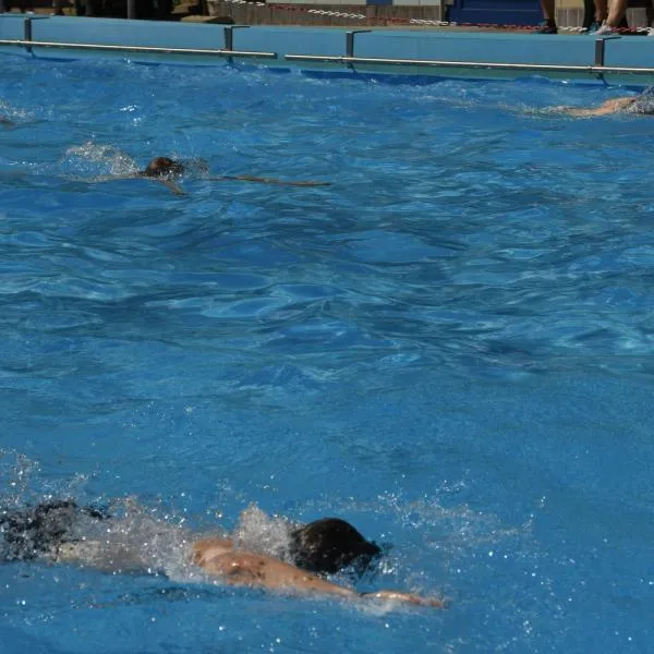Die Teilnehmer des Schwimmwettbewerbs verausgaben sich im Wasser
