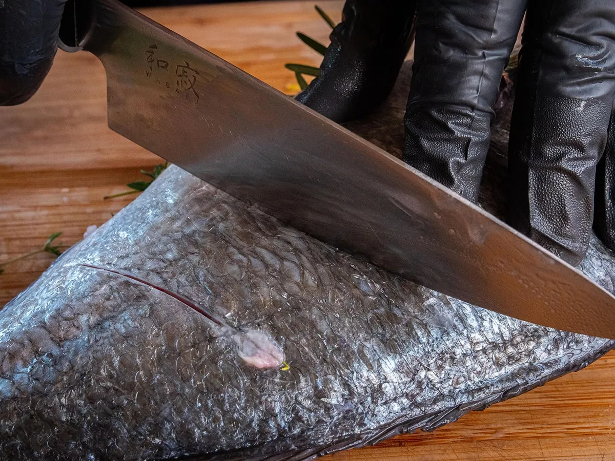 Dorade grillen: Haut einschneiden