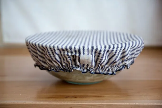 dough rising, Dot and Army cloth bowl cover