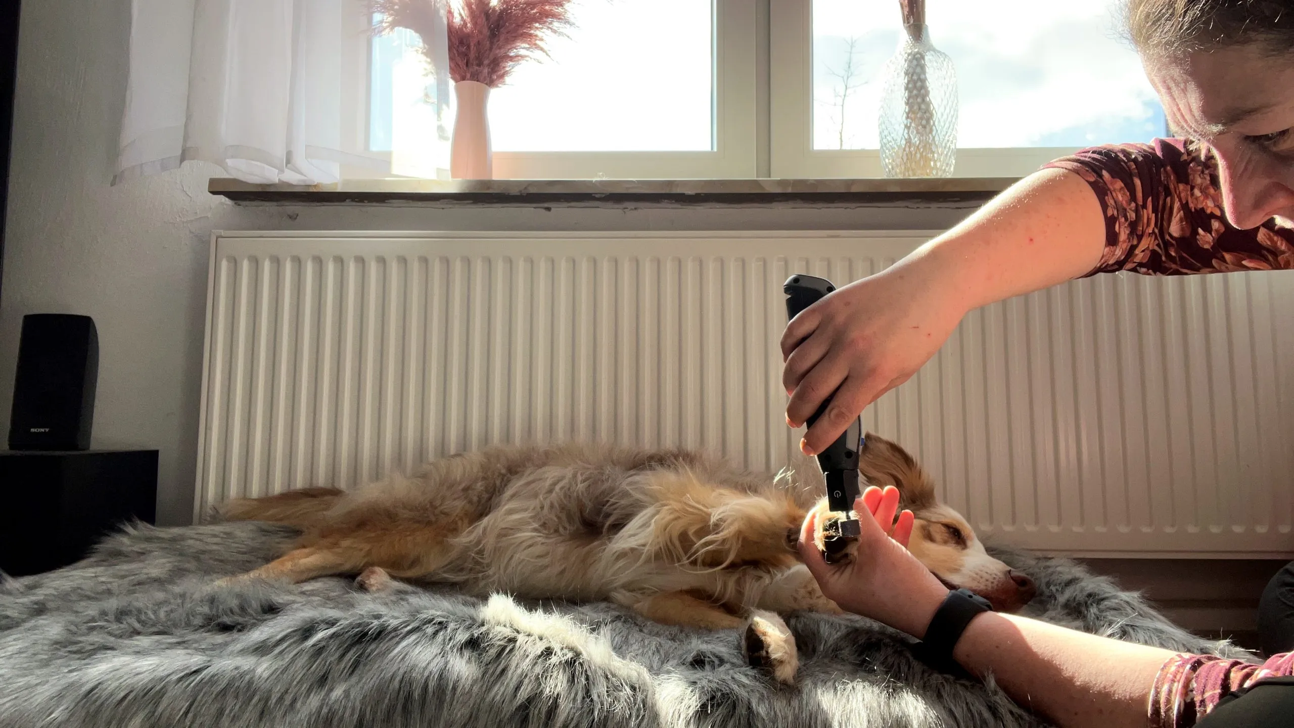 Dremel 7760 Krallenschleifer für große Hunde