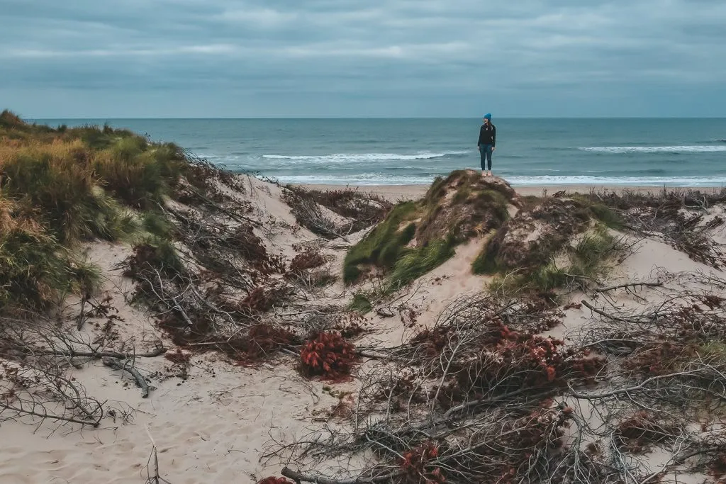 Dünenlandschaft im Nationalpark Thy, mit Gras bewachsenen Sandhügeln und einem bewölkten Himmel