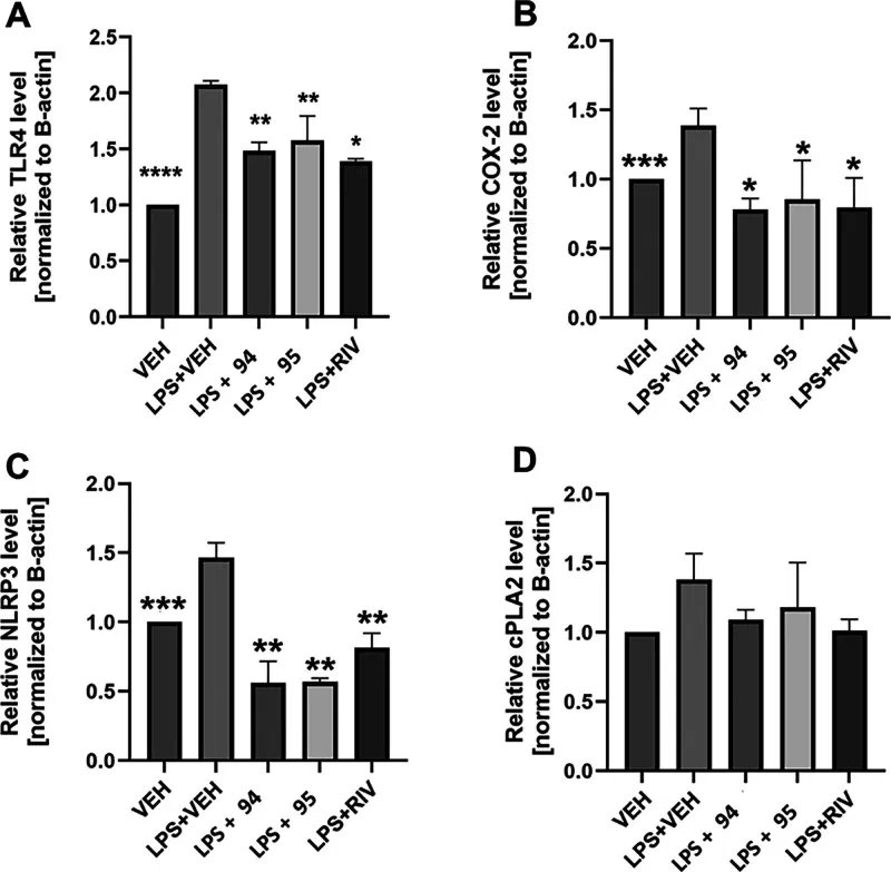 Effekt auf entzündungsbezogene Proteine im Gehirn