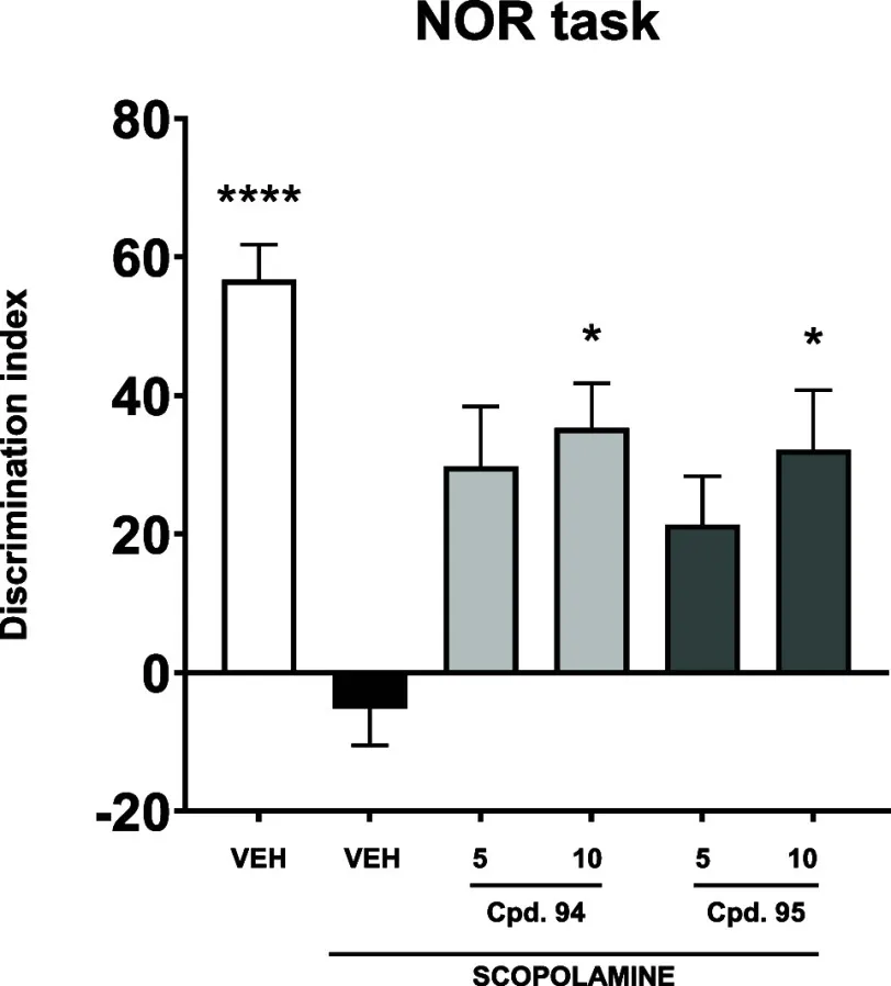 Effekt auf kognitive Defizite im NOR-Test