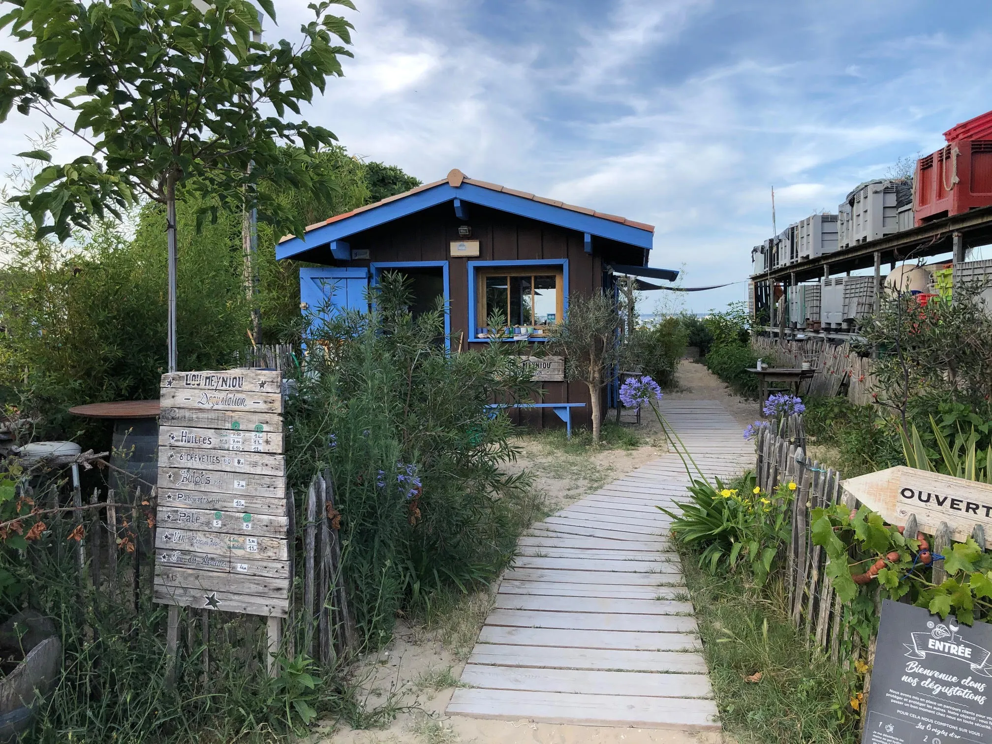 Ein Abendessen mit Meeresfrüchten, das ideal zu einem leichten, herben Weißwein oder Bier passt.