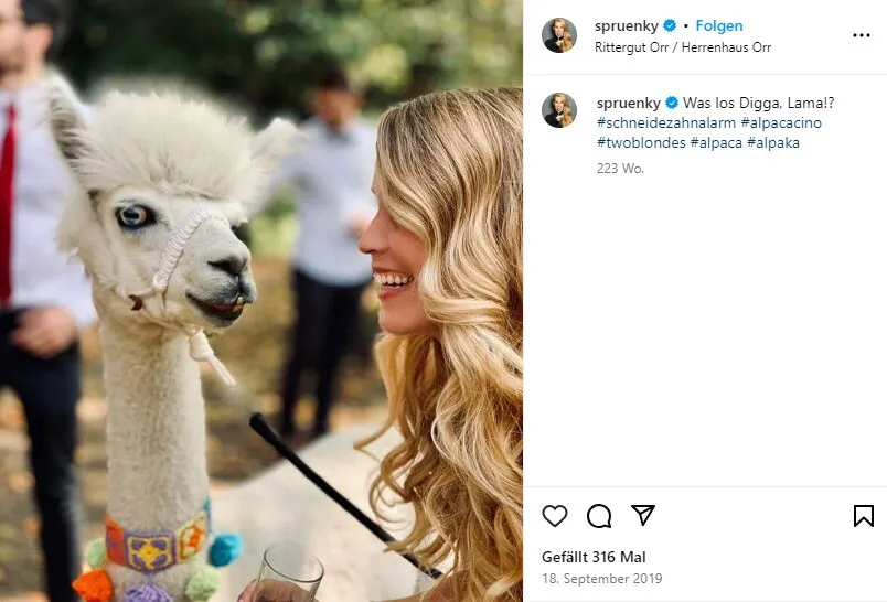 Ein Alpaka mit einem aufgesetzten Hut, das offensichtlich unwohl aussieht, als Beispiel für potenzielles Tierleid durch unnatürliche Interaktionen.