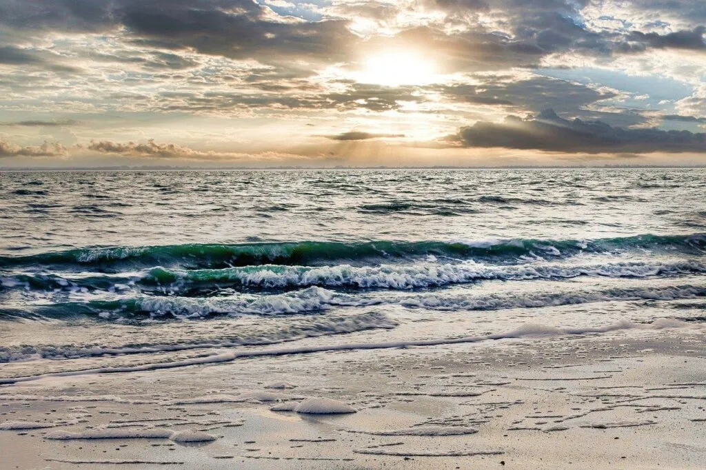 Ein Baumhaus, eingebettet in eine üppige grüne Landschaft in Niedersachsen