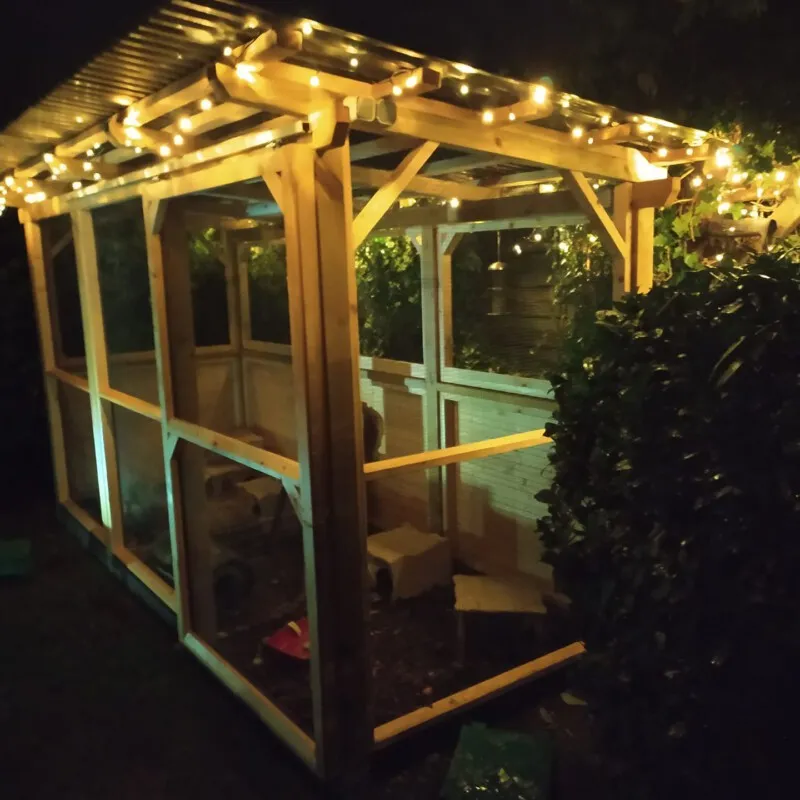 Ein begehbares Außengehege mit Meerschweinchen und Holzrampen