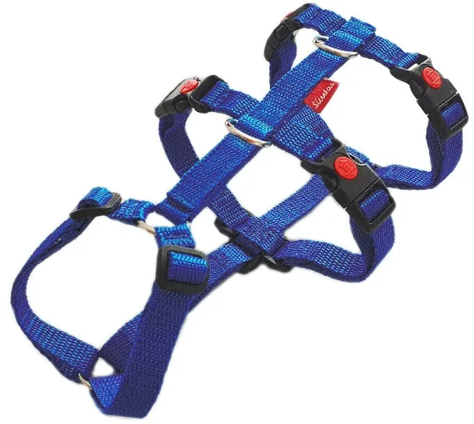 Ein Beispiel für ein robustes Sicherheitsgeschirr für Hunde