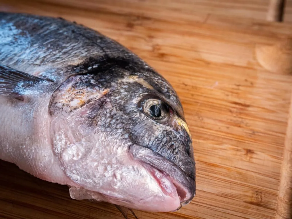 Ein ganzer, fangfrischer Fisch mit klaren Augen, bereit für die Zubereitung köstlicher Fisch Grillrezepte