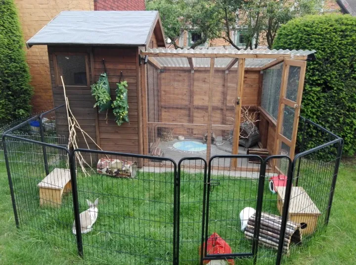Ein Gartenhäuschen, das als sicherer Unterschlupf für Meerschweinchen und Kaninchen dient