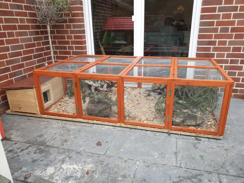 Ein geräumiges Meerschweinchengehege auf einer Terrasse mit angeschlossenem Wetterschutzstall