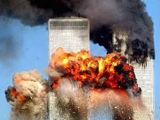 Ein geretteter Dackel spielt glücklich auf einer Wiese in Deutschland.