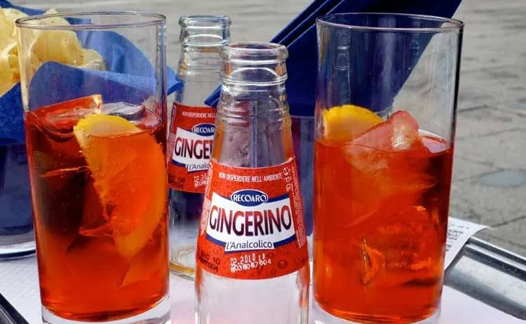 Ein Glas purer Gingerino mit Eis und einer Orangenscheibe, das seine Vielseitigkeit als erfrischender alkoholfreier Genuss zeigt.