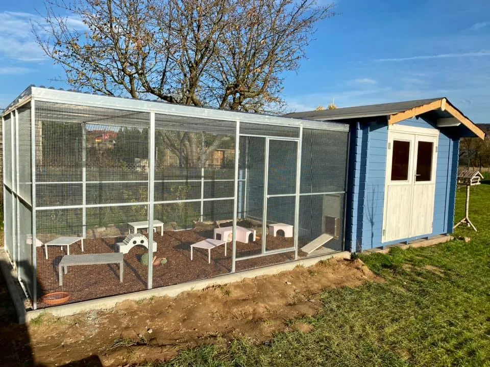 Ein großes, begehbares Außengehege für Meerschweinchen mit Holzwänden und einem überdachten Bereich