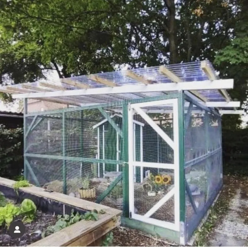 Ein großes Freigehege für Meerschweinchen mit viel Platz zum Laufen