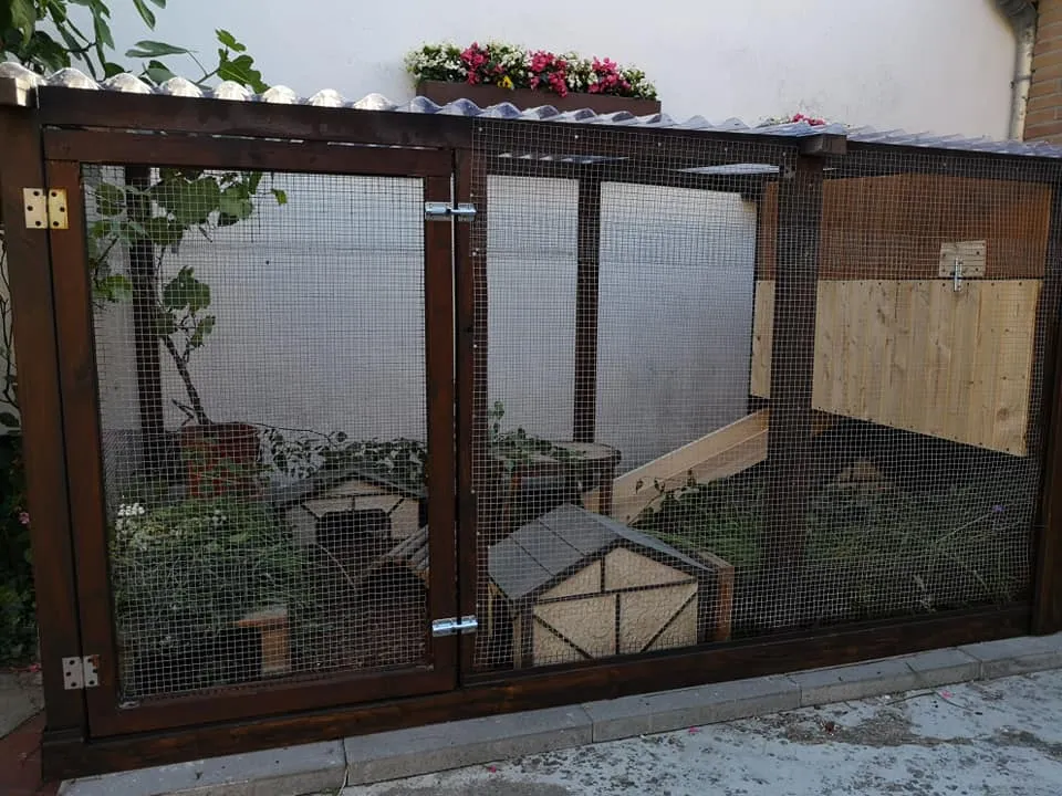 Ein großzügiges Außengehege mit Gras und verschiedenen Unterständen