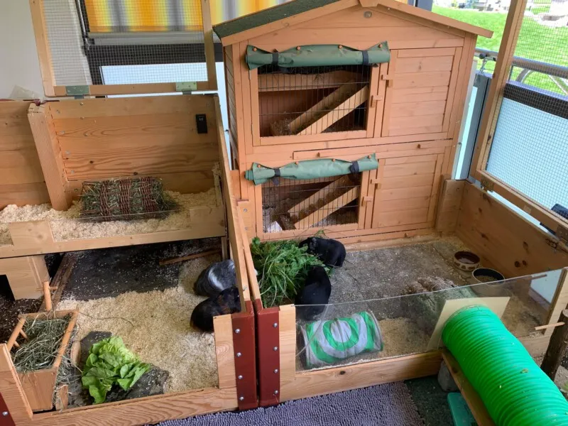 Ein handelsüblicher Stall, der als Schutzraum auf einem Balkon nachgerüstet wurde