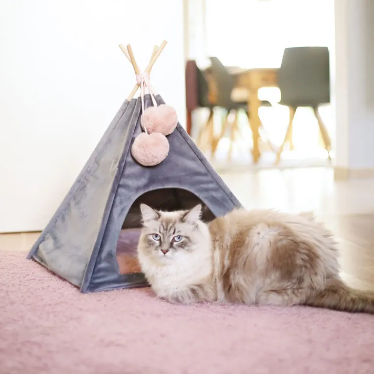 Ein handgenähtes Katzentipi in Pastellfarben mit zwei Katzen, die darin entspannen, zeigt den gemütlichen Rückzugsort.