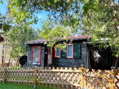 Ein Hund schaut durch einen Gartenzaun in ein grünes Grundstück, symbolisiert die Sicherheit eines eingezäunten Bereichs für Haustiere.
