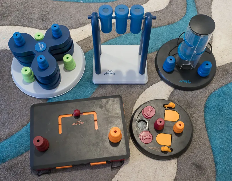 Ein Hund spielt konzentriert mit einem Denkspielzeug, das seine Intelligenz fördert