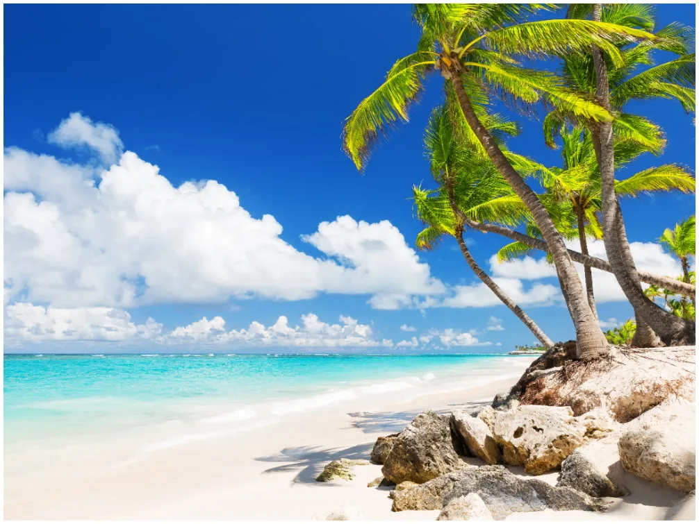 Ein idyllischer Traumstrand in Punta Cana, Dominikanische Republik, mit weißem Sand, Palmen und klarem türkisfarbenem Wasser.