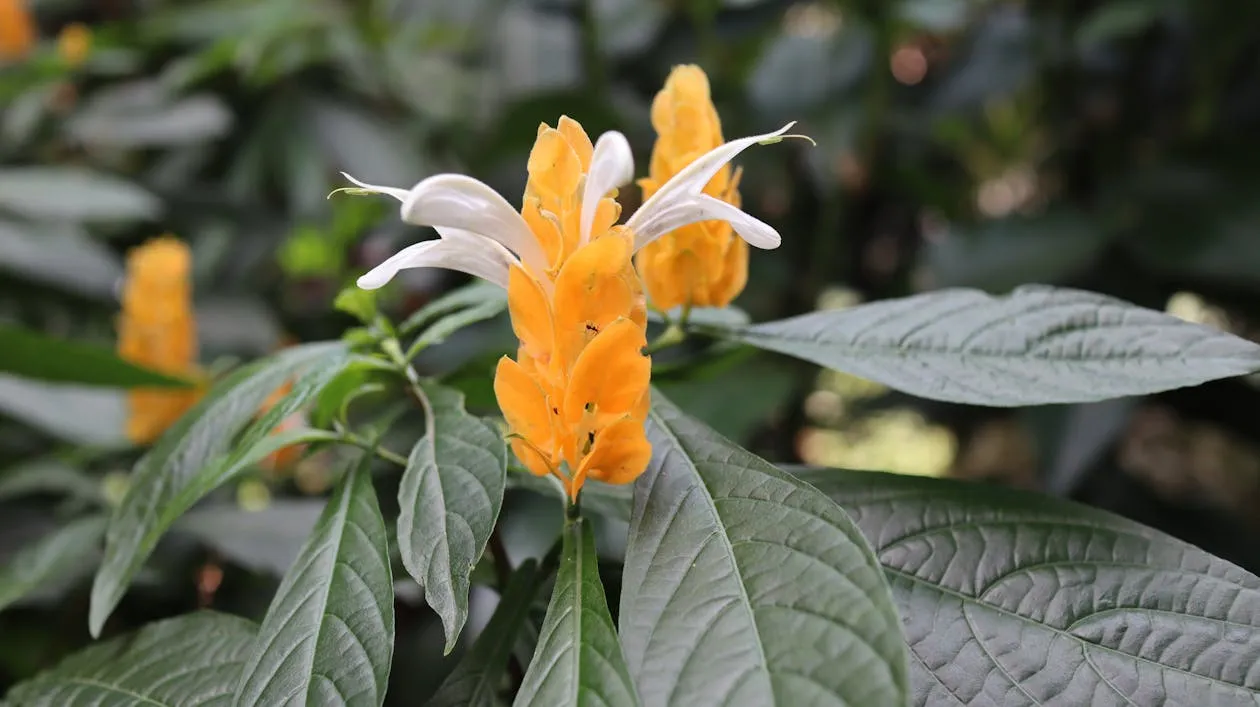 Ein junger Sportler trainiert seine Fähigkeiten