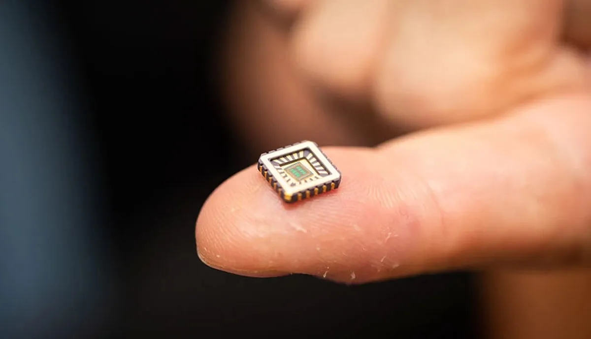 Ein kleiner Computerchip mit künstlichen Neuronen, der auf einer Fingerspitze liegt