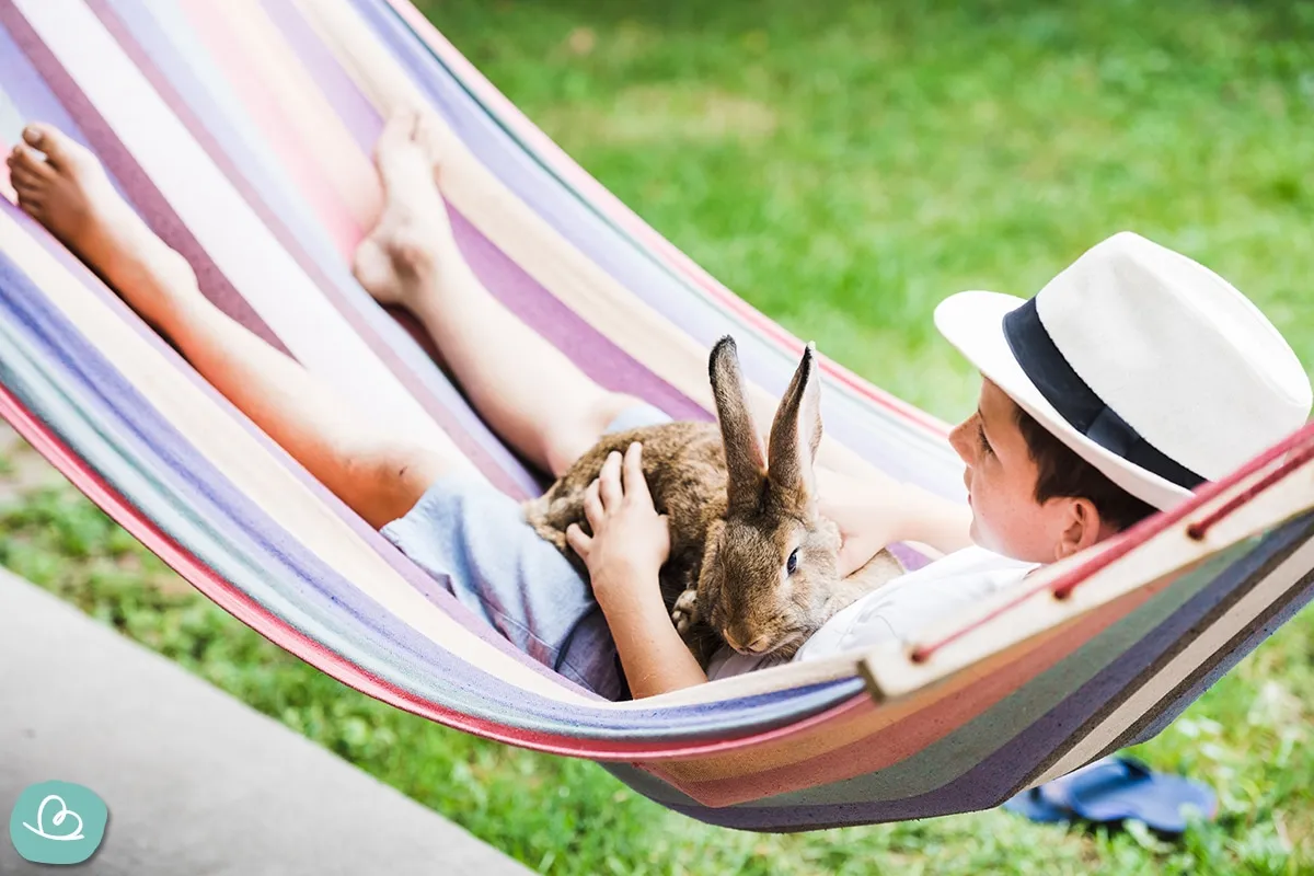 Ein kleiner Junge schmust entspannt in einer Hängematte mit einem Kaninchen, das als pflegeleichtes und süßes Haustier zum Kuscheln dient.