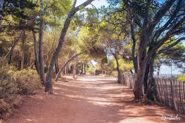 Ein Küstenpfad auf der Île Saint-Honorat