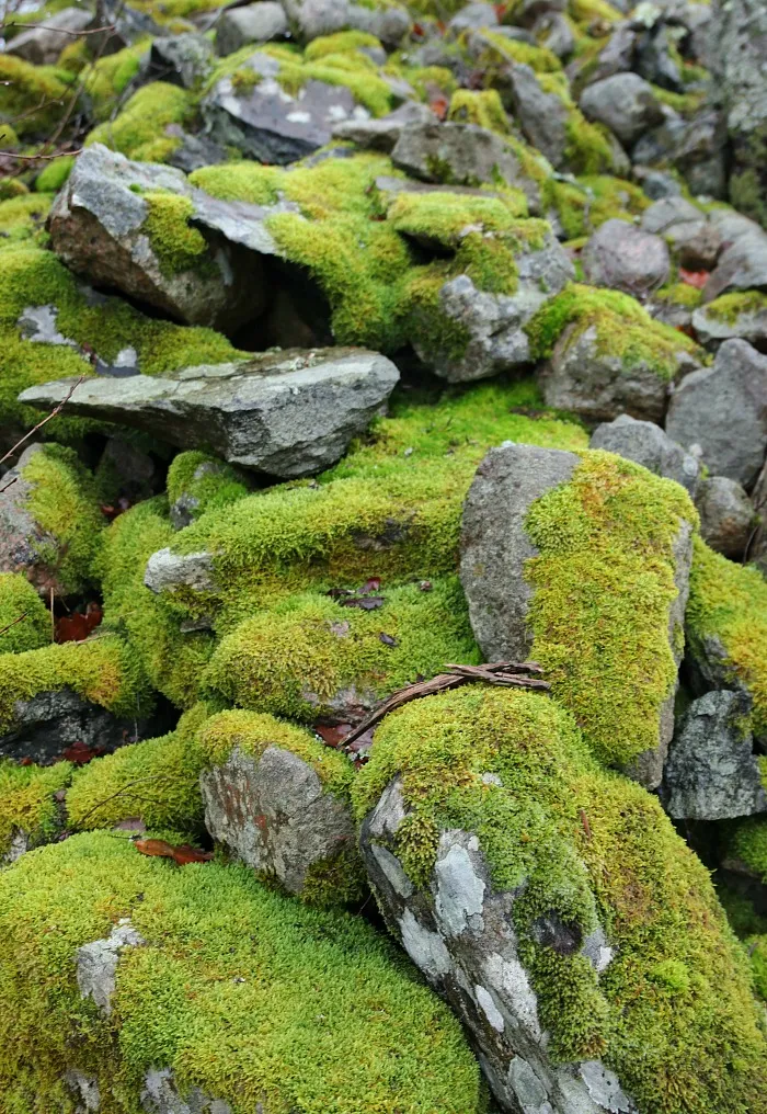 Ein Naturzentrum im Winter