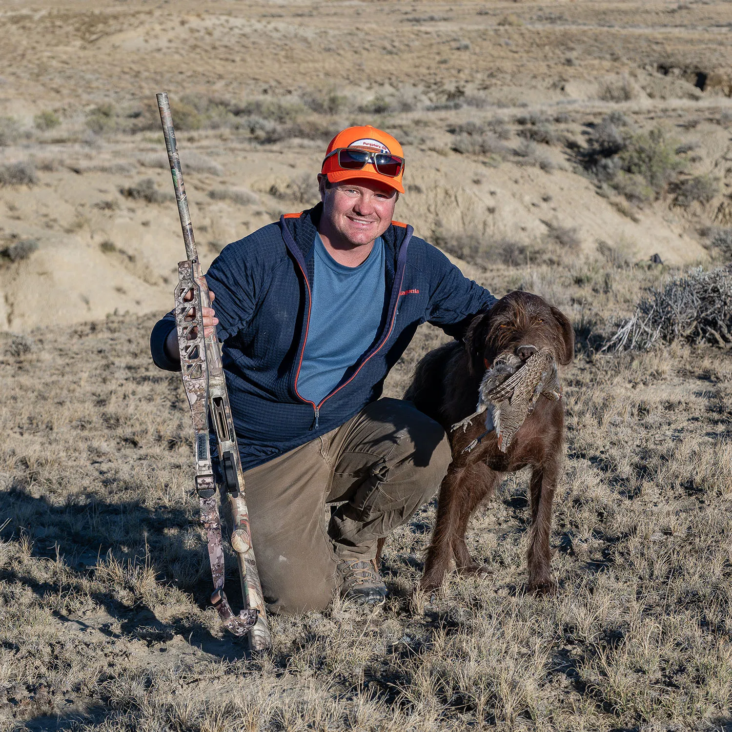 Ein Pudelpointer namens Harley bei der Jagd