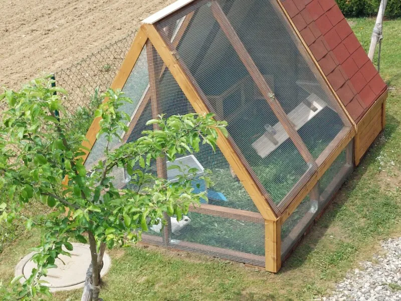 Ein Pyramidengehege für Meerschweinchen mit Gitterdach und Holzboden