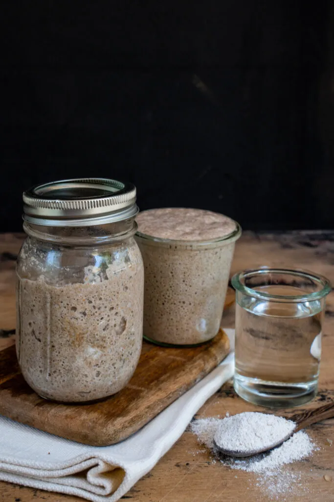 Ein Querschnitt durch ein Sauerteigbrot, der die unregelmäßige, luftige Krume und die dicke Kruste zeigt.