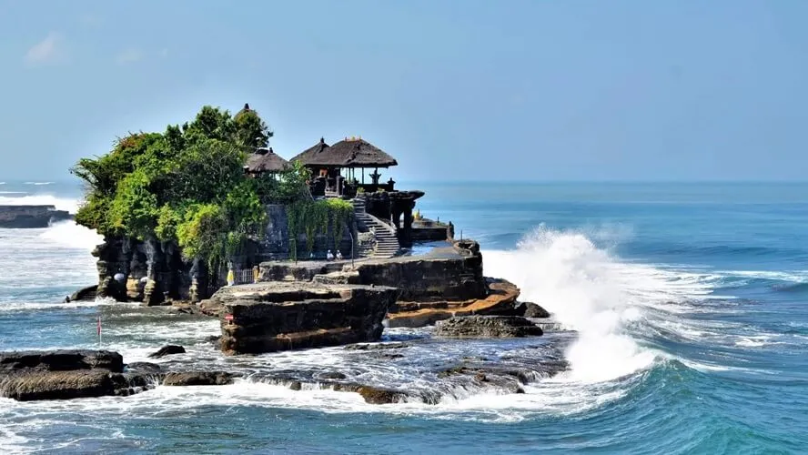 Ein Reisfeld auf Bali mit Palmen und üppiger Vegetation im Sonnenlicht
