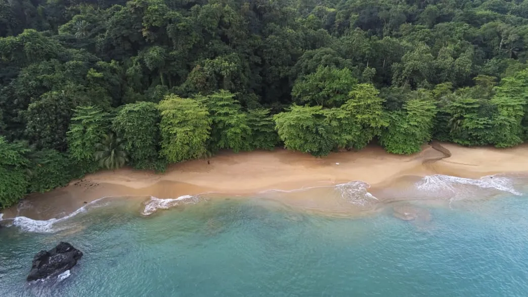 Ein schöner Strand auf Prince Island in São Tomé und Príncipe