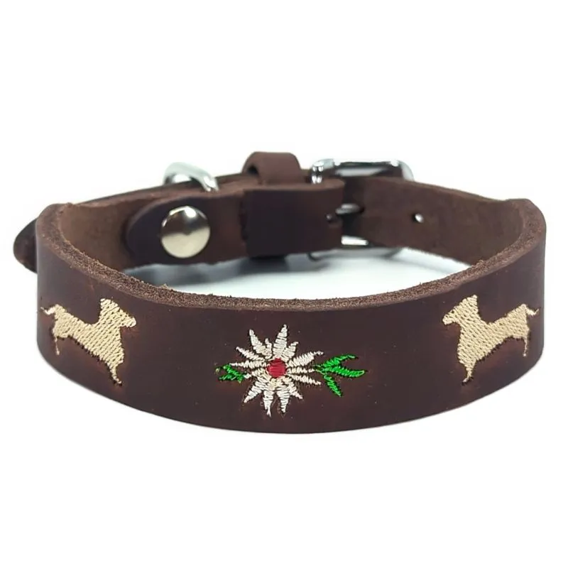 Ein spezielles Dackelhalsband aus Leder mit Edelweiss-Bestickung