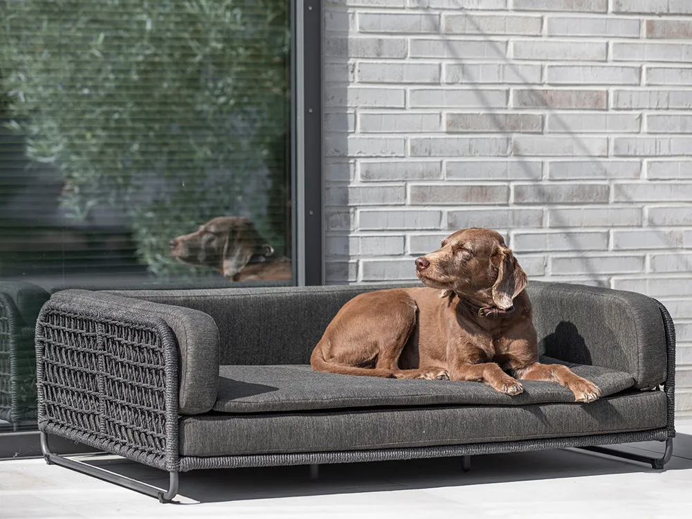 Ein stilvolles Hundesofa aus Aluminium und Kordelflechtung auf einer Terrasse