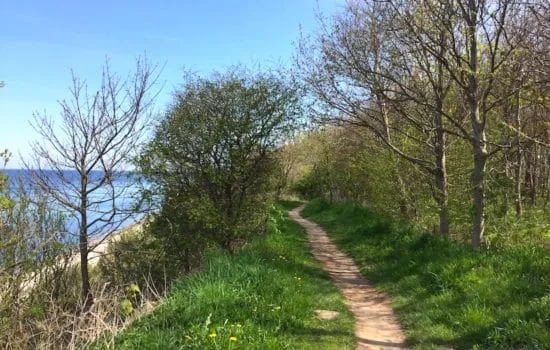 Ein Wanderweg entlang der Ostseeküste