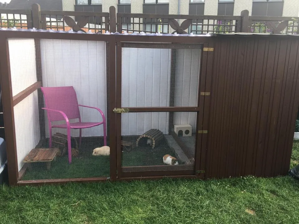 Ein weiteres Beispiel für ein geräumiges Meerschweinchengehege im Garten